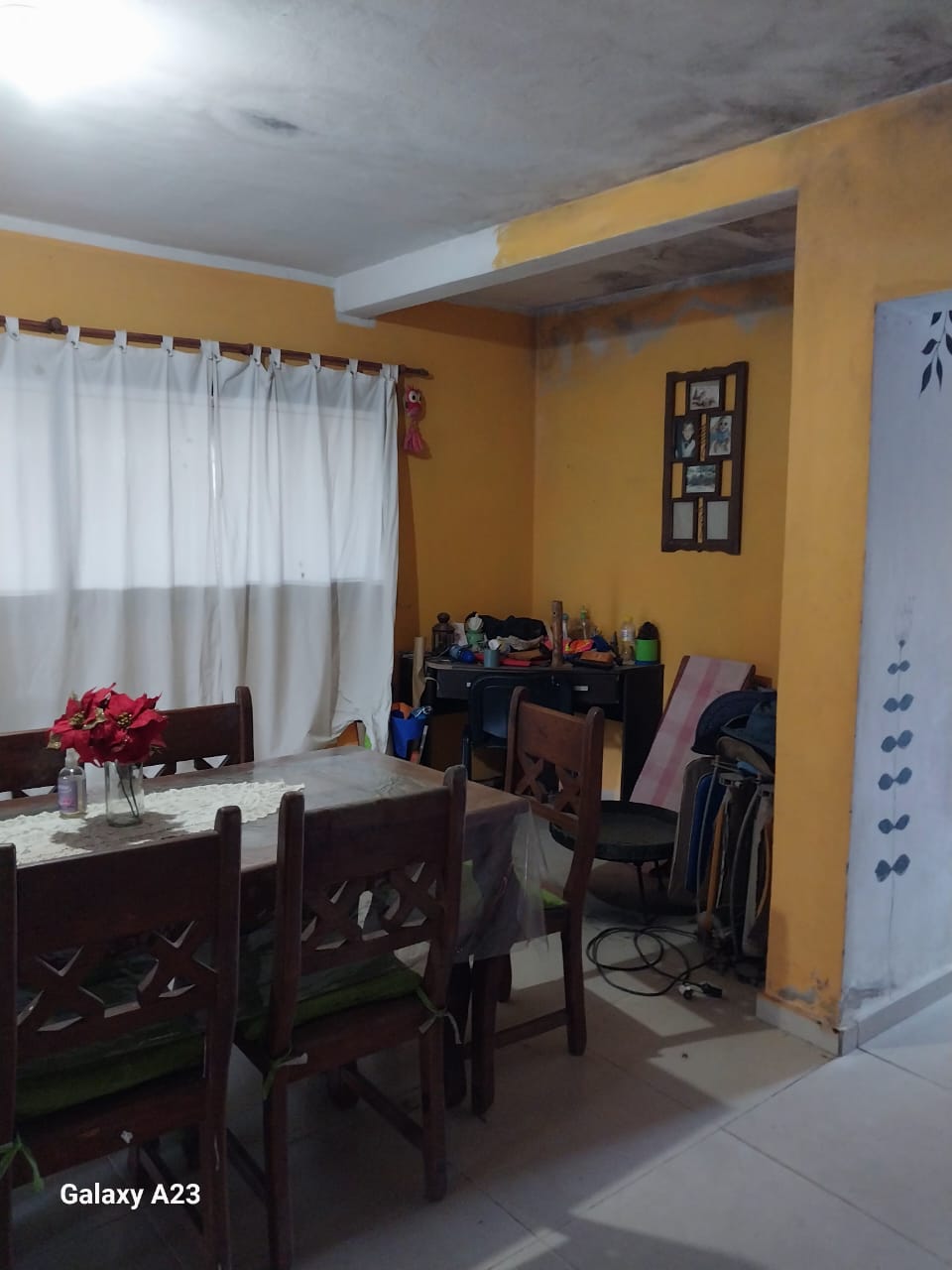 Imagen 5